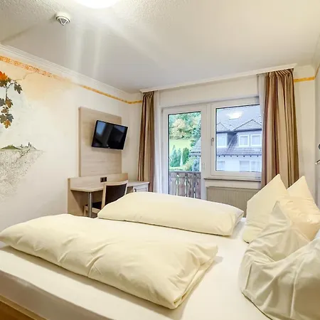 Smart B&b1 Bb1 118 *