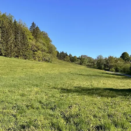 Smart B&b1 Bb1 118 * Winterberg